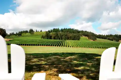 Willamette Valley Wine Tour