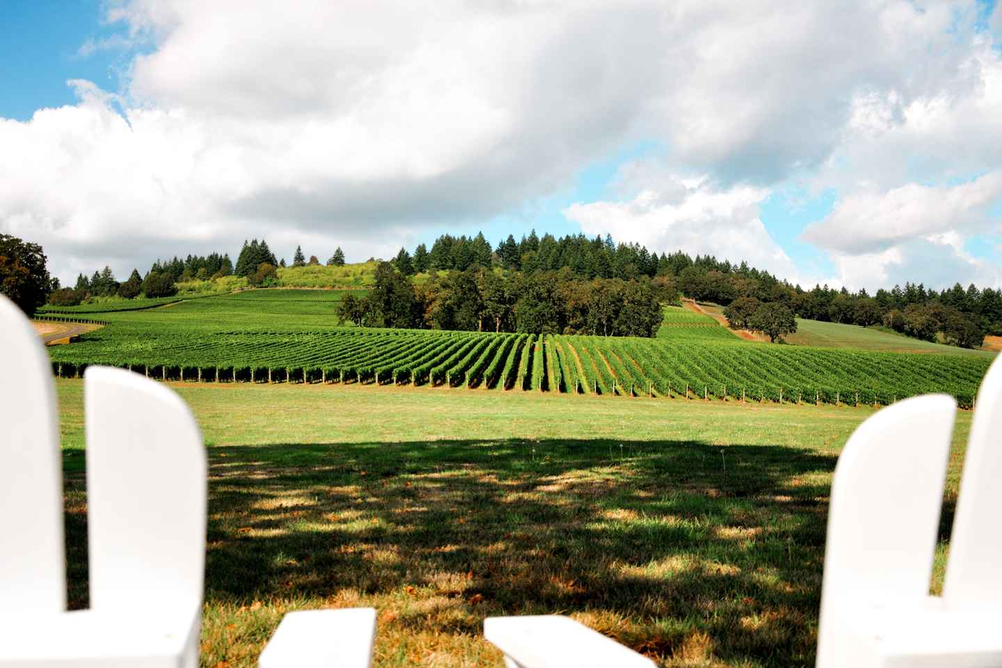non touristy things to do in portland | indulge in wine tasting