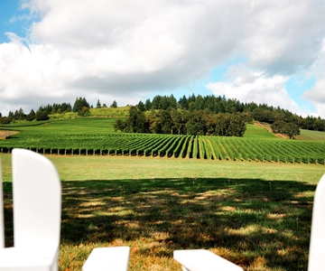 Willamette Valley Wine Tour