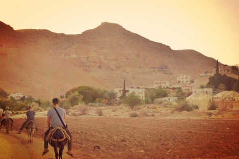 Bethlehem, Jericho und der Jordan: Geführte Tour & TransportAbholung von Tel Aviv