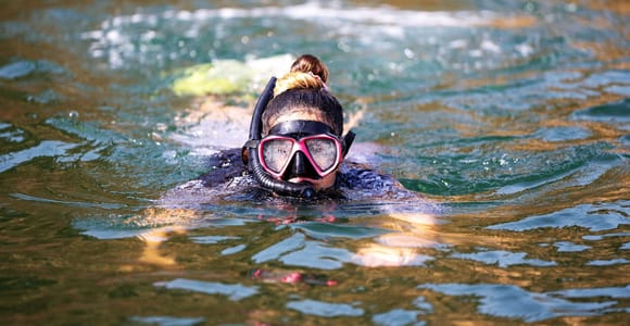 Muscat: Dolphin, Whale Watch & Snorkeling Experience