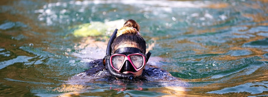 Mascate : expérience d'observation de dauphins et de baleines et plongée en apnée