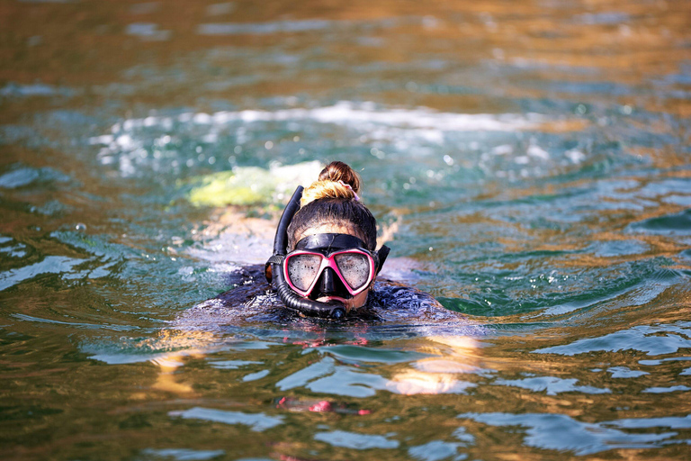 Muscat Dolphin Watching, Snorkeling & Kayaking Adventure