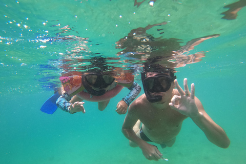 Snorkling med sköldpaddor i deras naturliga miljö