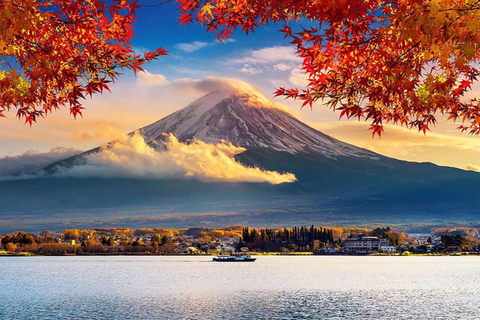From Tokyo : Mount Fuji Private Day Trip with Hotel Pickup Mount Fuji & Hakone Customize Tour With English Guide