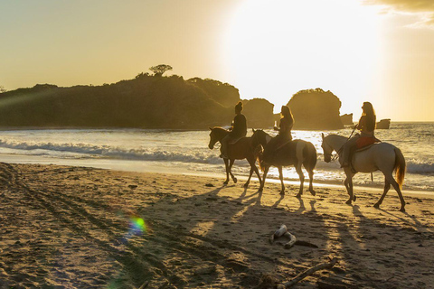 Noord, Aruba: Beach Horseback Ride at Sunrise or Sunset Noord, Aruba: Sunset Beach Horseback Ride