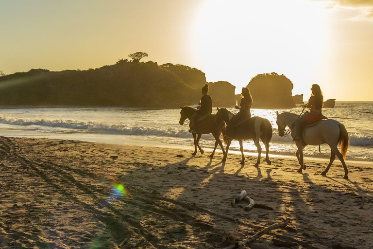 Noord, Aruba: Beach Horseback Ride at Sunrise or Sunset Noord, Aruba: Sunset Beach Horseback Ride