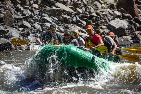 Colorado: Guided Colorado River Rafting Half Day Trip