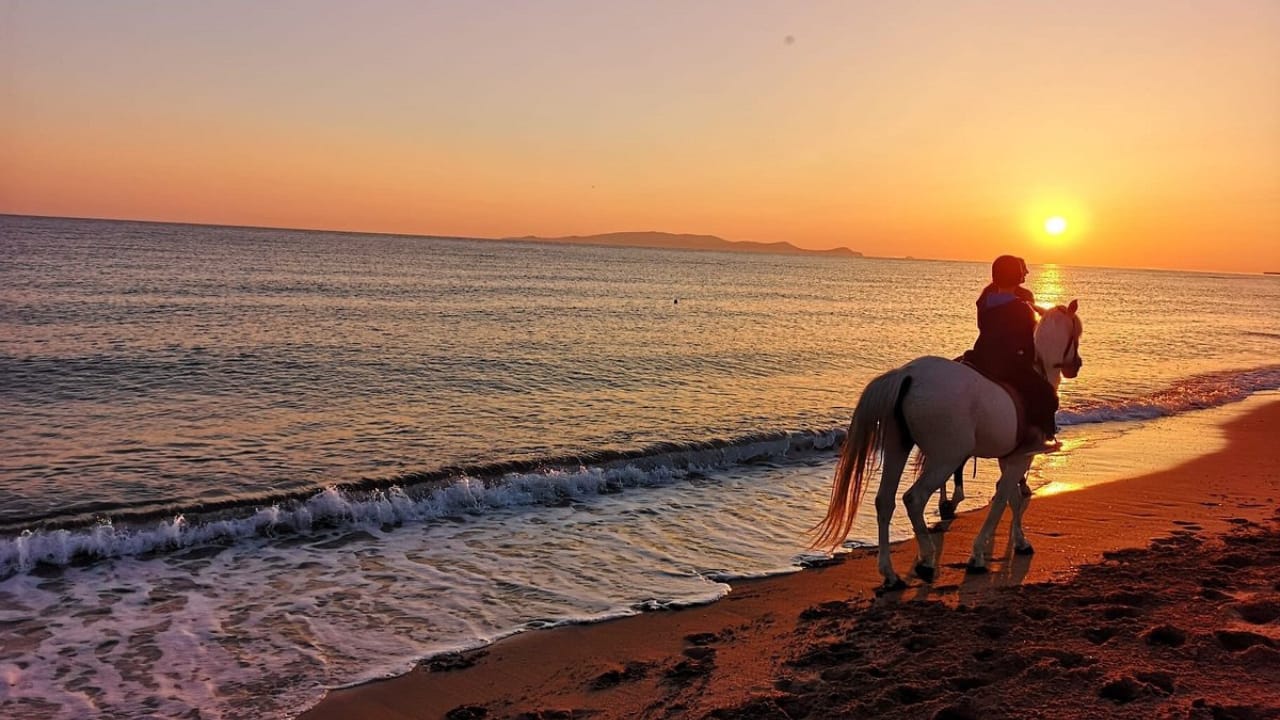 Ab Thessaloniki: Reitausflug am Strand von Kallithea