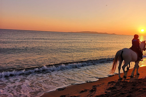 From Thessaloniki: Kallithea Beach Horseback Riding Horse Beach