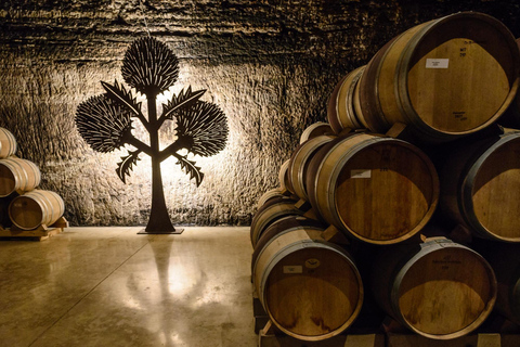Bilbao: Rioja Wine Region Private Day Tour
