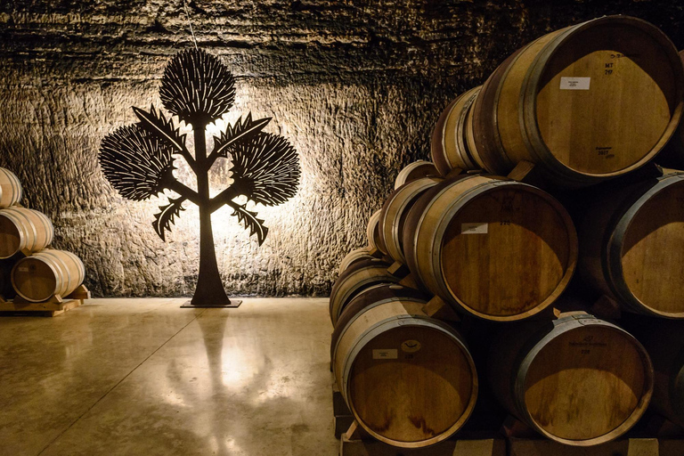 Bilbao: Rioja Wine Region Private Day Tour