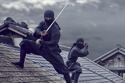 EDO WONDERLAND Nikko Edomura