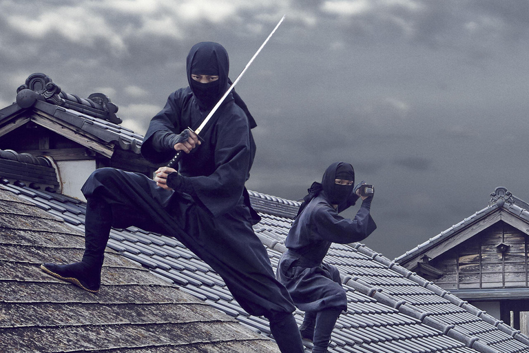 EDO WONDERLAND Nikko Edomura