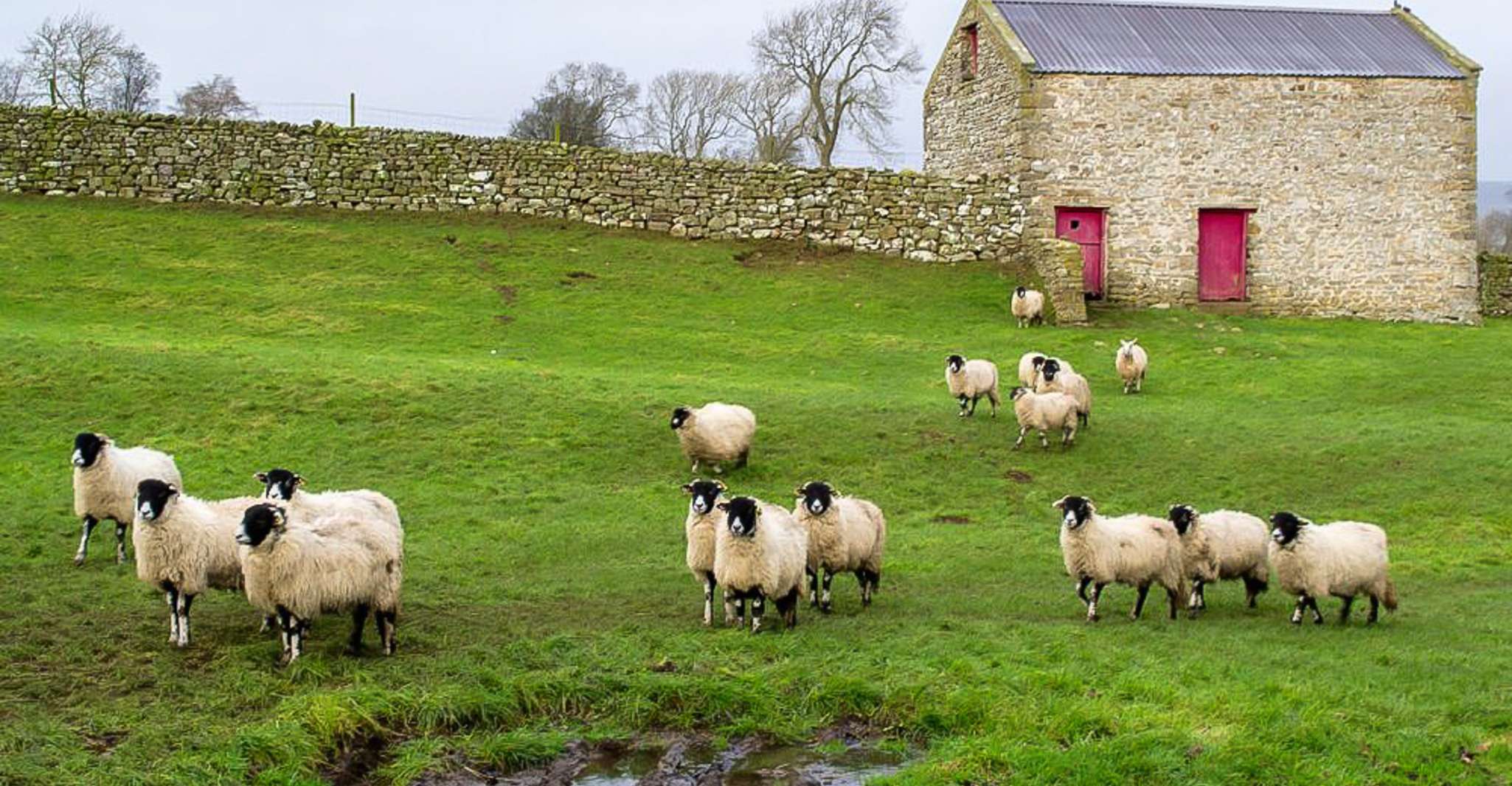 The Yorkshire Dales Tour from York - Housity