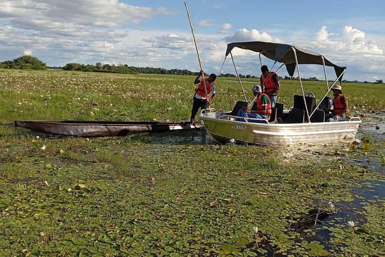 Shakawe: safari de 3 días por el este del OkavangoShakawe: Safari de 3 días por el este del Okavango