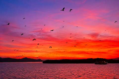 From Labuan Bajo: Half-Day Boat Tour & Flying Fox Sunset