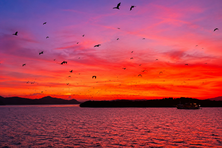 From Labuan Bajo: Half-Day Boat Tour & Flying Fox Sunset