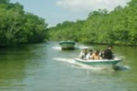 Ho Chi Minh City: Can Gio Mangrove Forest Monkey island