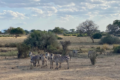 Z Mombasy: 6-dniowa wycieczka do Tsavo West, Amboseli i Tsavo East ...Z Mombasy: 6-dniowe Tsavo West, Amboseli i Tsavo East ...