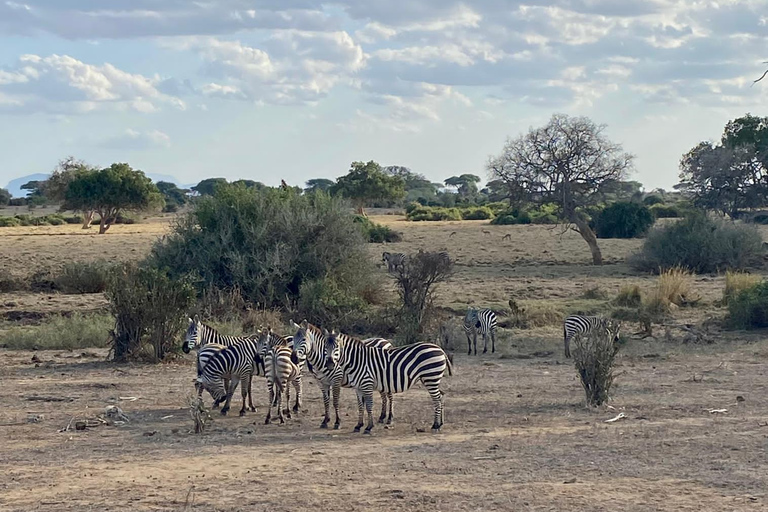 Z Mombasy: 6-dniowa wycieczka do Tsavo West, Amboseli i Tsavo East ...Z Mombasy: 6-dniowe Tsavo West, Amboseli i Tsavo East ...