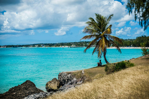 Saint John: Horseback Ride with Beach & Countryside Options 1-Hour Coastal Countryside Ride