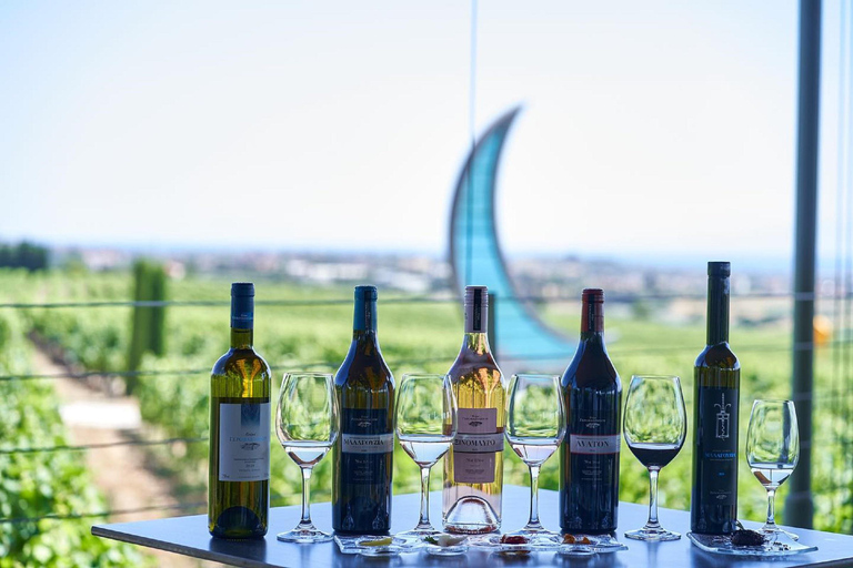 Epanomi Wine Escape: Fine Wines, Vineyards & Wine Museum