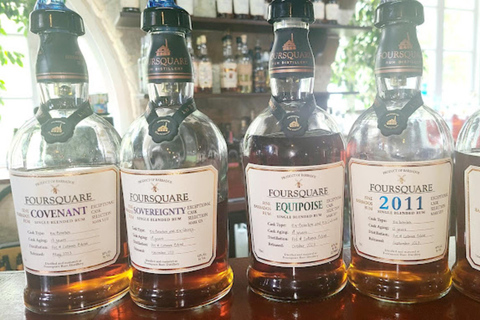 巴巴多斯：浴场至巴特谢巴步道跑/徒步之旅（含接送服务）巴巴多斯：巴斯至巴特谢巴越野跑或徒步之旅（含接送服务）