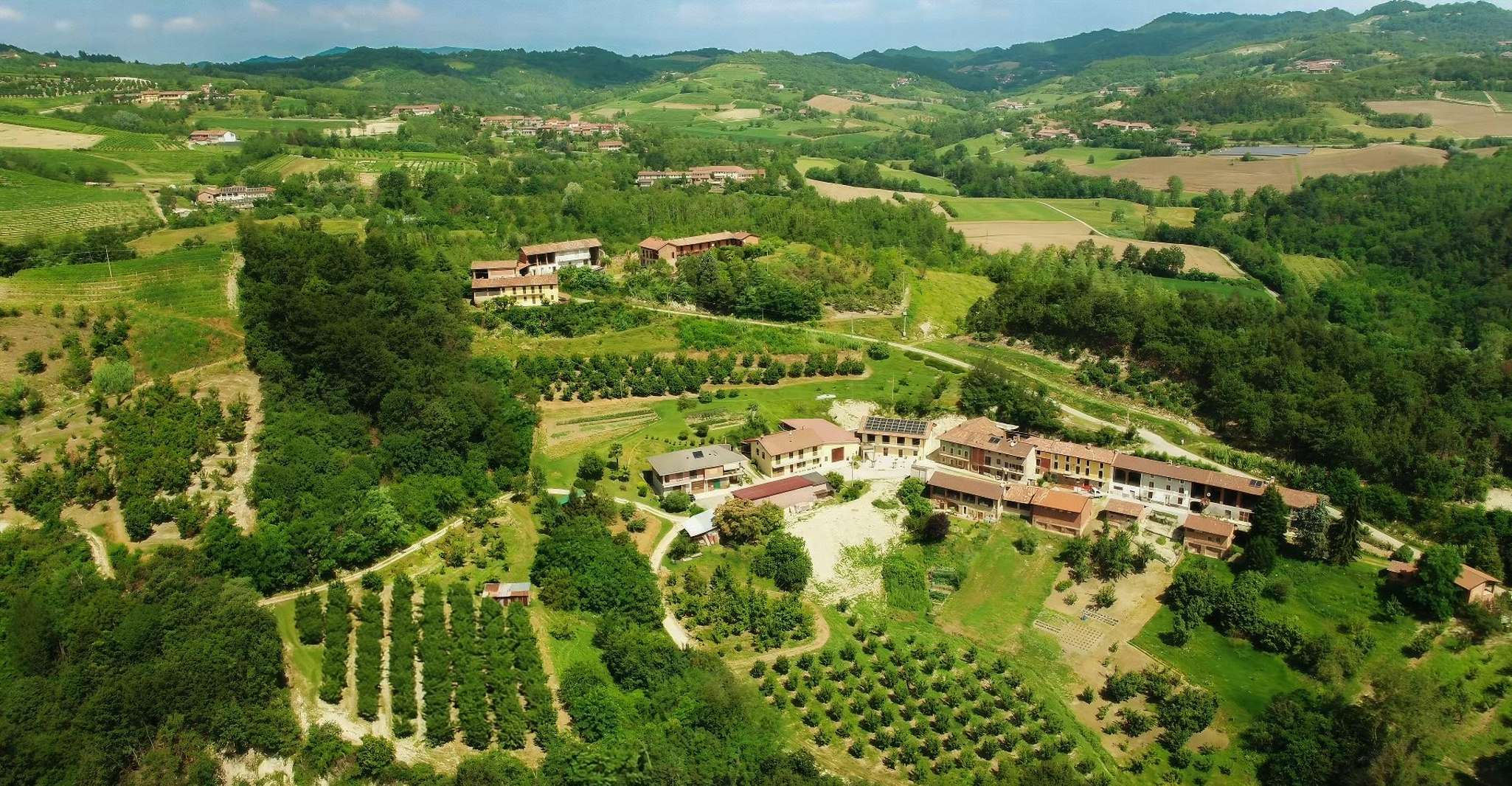 Albugnano: tour della cantina nel Monferrato con degustazione di vini
