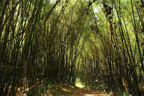 Nairobi: Overnight Adventure in Aberdare National Park