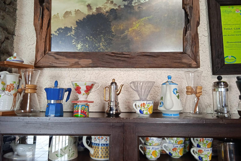 Medellín: Coffee Farm Tour Santa Bárbara, Antioquia (Share)