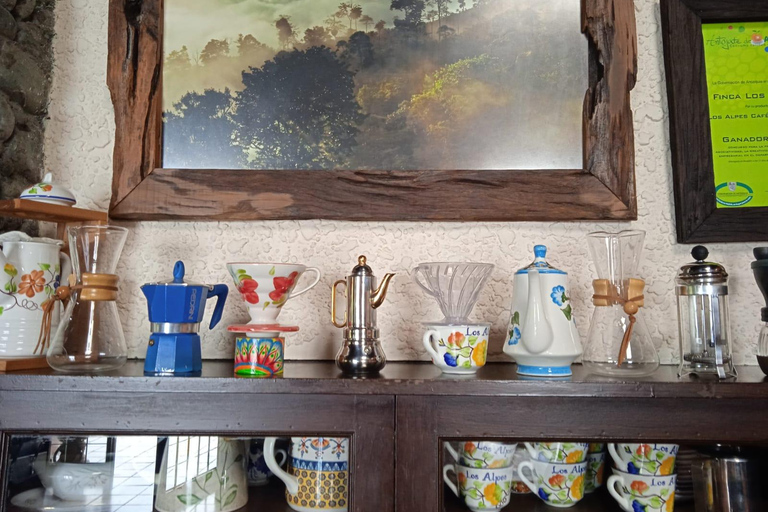 Medellín: Coffee Farm Tour Santa Bárbara, Antioquia (Share)