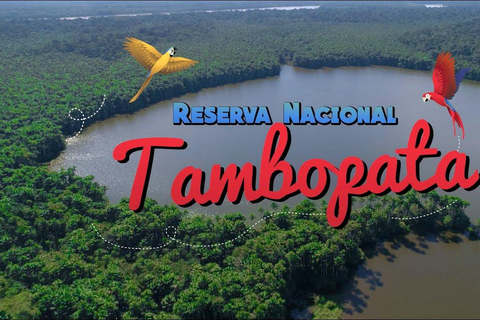 Puerto Maldonado: 4-Day Amazon Jungle Adventure