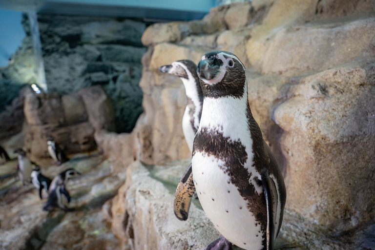 Niagara: Aquarium of Niagara General Admission