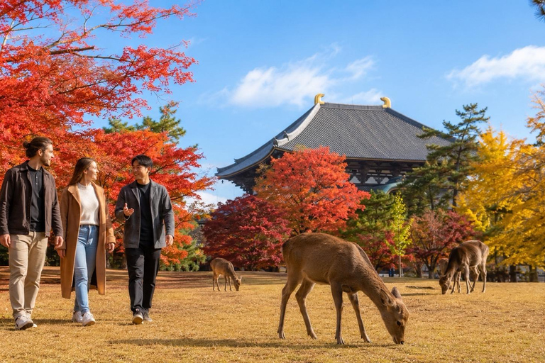 Nara: Autumn Colors, Deer & Historic Park Walk Early Bird 20% Off – Limited Autumn Offer