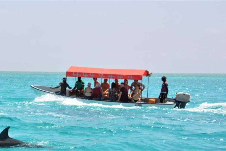 Zanzibar : baignade avec les dauphins et les tortues de mer de MnembaZanzibar : baignade avec les dauphins et les tortues marines de Mnemba