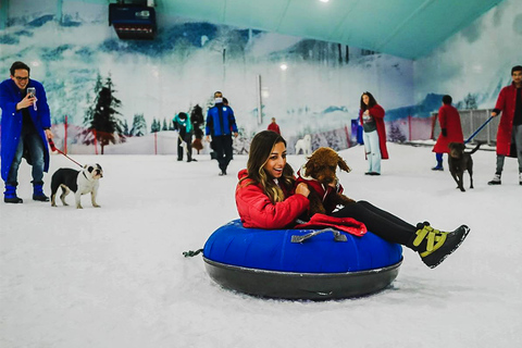 Dalle piramidi ai pinguini: Avventura sulla sabbia e sulla neve al Cairo