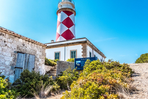 Colonia Sant Jordi: tour Premium e veloce in barca intorno a CabreraGiro veloce