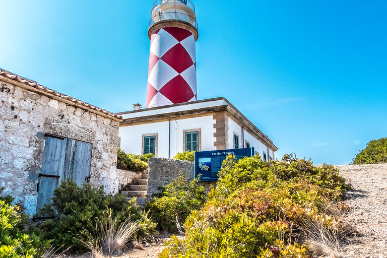 Colonia Sant Jordi: tour Premium e veloce in barca intorno a CabreraGiro veloce