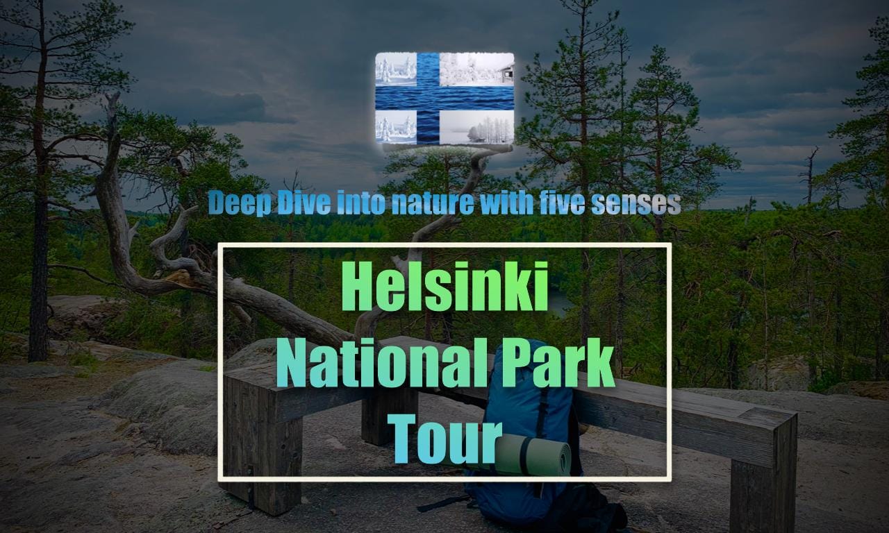 Wecken Sie Ihre fünf Sinne in der finnischen Natur + traditionelle Sauna