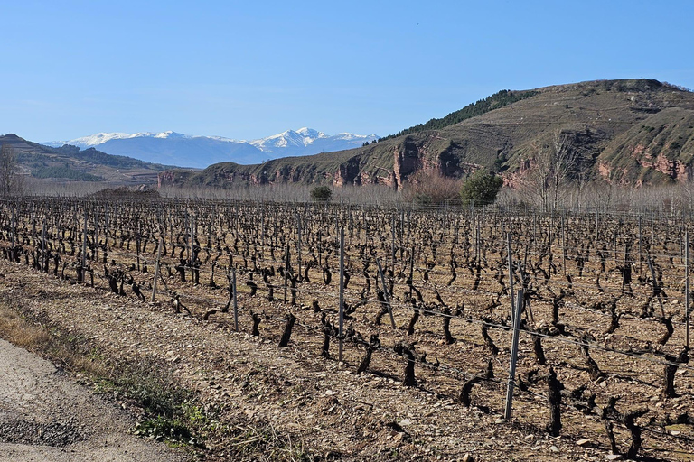 Secret Rioja: Street Art, Panoramic Views & Tasting – Private Tour
