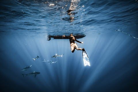 Oahu: Cage-Free Shark Diving Adventure Oahu: Cage-Free Shark Diving Adventure with Photos