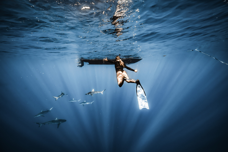 Oahu: Cage-Free Shark Diving Adventure Oahu: Cage-Free Shark Diving Adventure with Photos