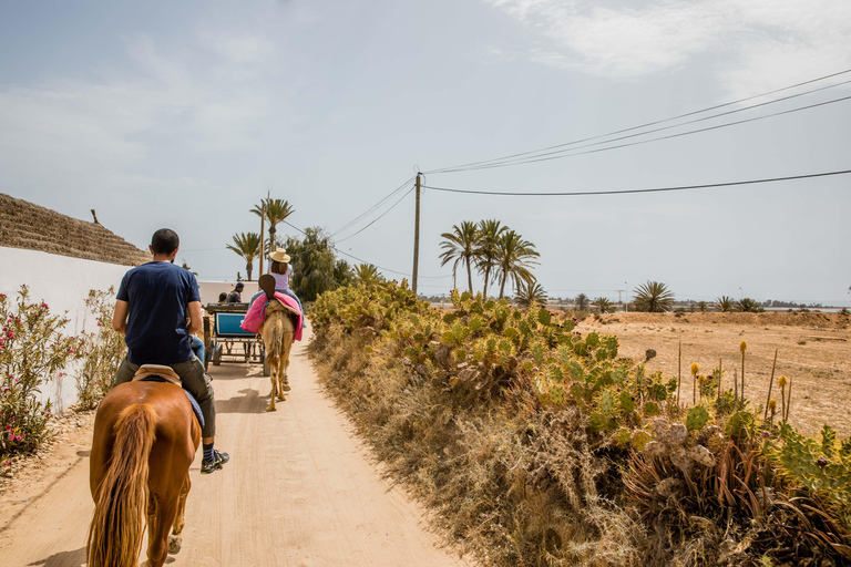 Blaue Lagune 2H Kutschfahrt in DjerbaTraditionelle Pferdekutschenfahrt in Djerba