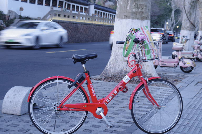 Hangzhou West Lake Bike Tour: Temple, Tea Field, Sunset Ride