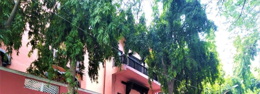 Visite d'une jounée complète à Pune : histoire, temples et saveurs locales