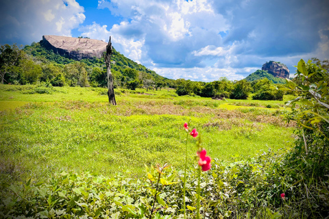 Sigiriya: Tuk Tuk Tours arund rock view points and city Tour