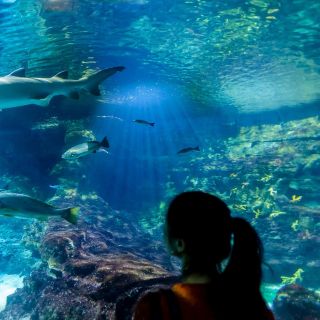 Barcelona: voorrangsticket voor het Aquarium