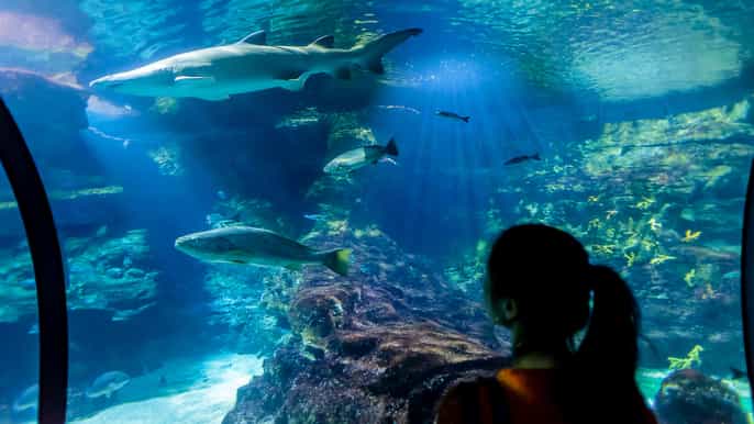 Barcelona Aquarium: Skip-the-Line Admission Ticket