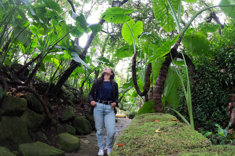 Bogotá: Botanical Garden Sightseeing Tour and Visit to the Paloquemao Market with Fruit Exclusive Sightseeing Tour + Transportation + Tickets + Fruit